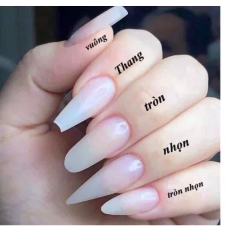 Nail box móng úp thiết kế đính đá sang trọng tặng keo và dũa , móng tay giả đính đá , mẫu nail đẹp