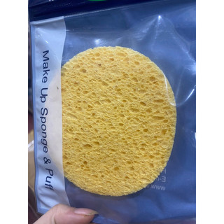 Bông bọt biển rửa mặt (dạng nở sẵn) SPONPIA