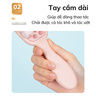 Lược chải tóc massage da đầu, lược chải tóc ướt và tóc khô