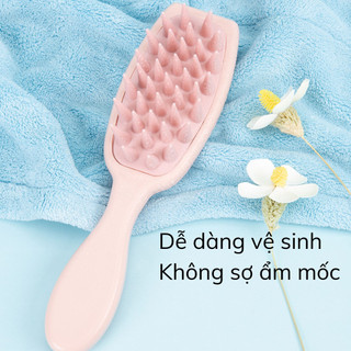 Lược chải tóc massage da đầu, lược chải tóc ướt và tóc khô