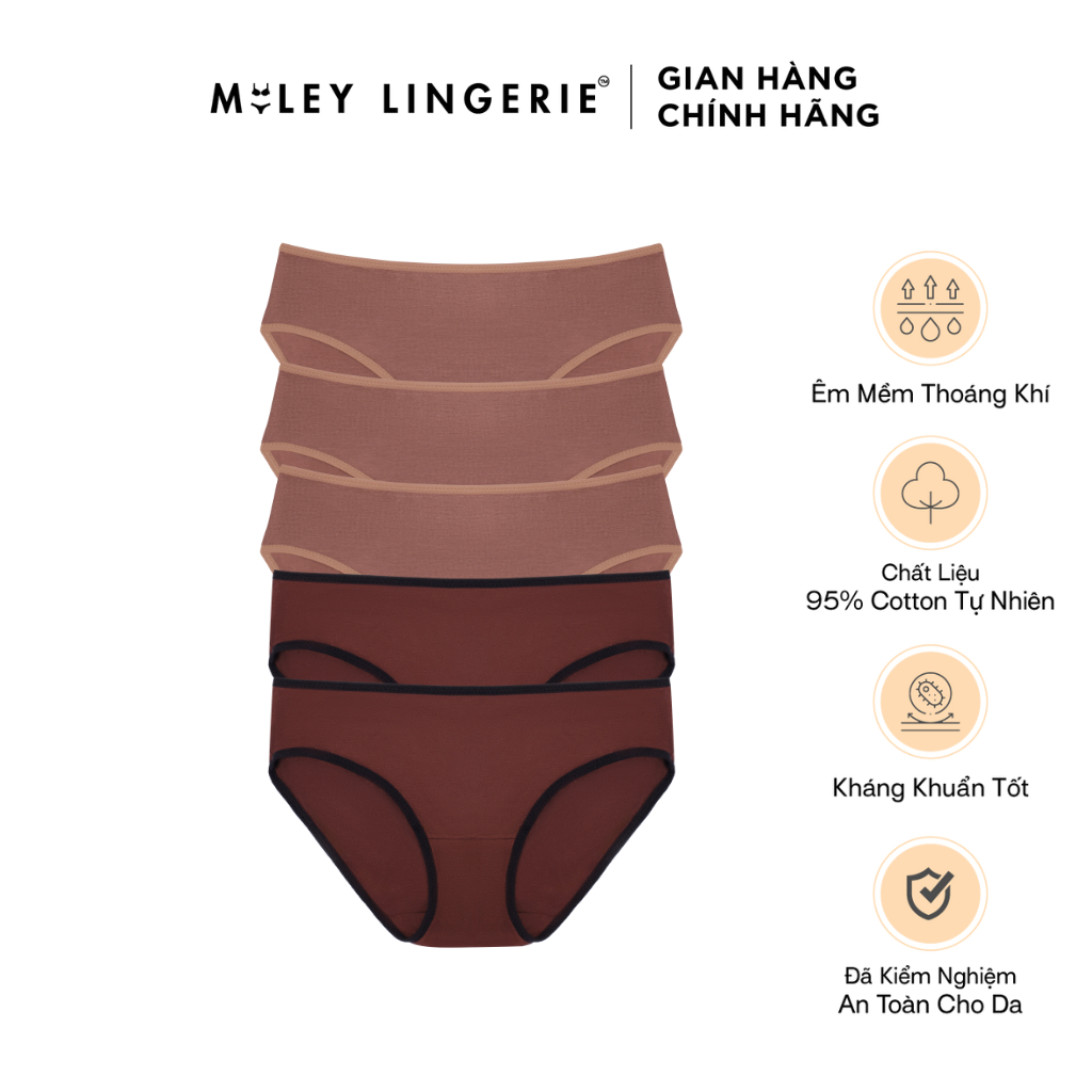 Combo 5 Quần Lót Flexi Cotton Lụa Co Dãn 4 Chiều Màu New Miley Lingerie