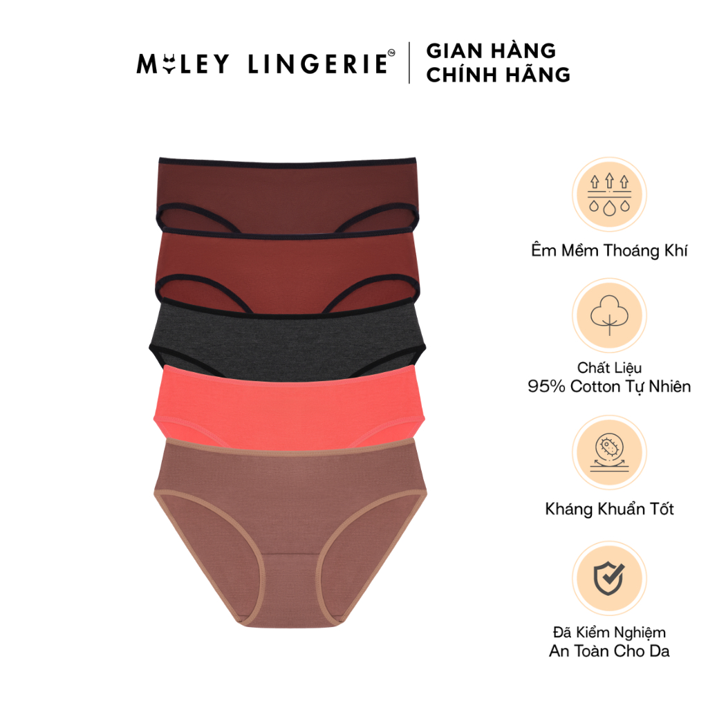 Combo 5 Quần Lót Flexi Cotton Lụa Co Dãn 4 Chiều Mẫu Ngẫu Nhiên Miley Lingerie BCS40