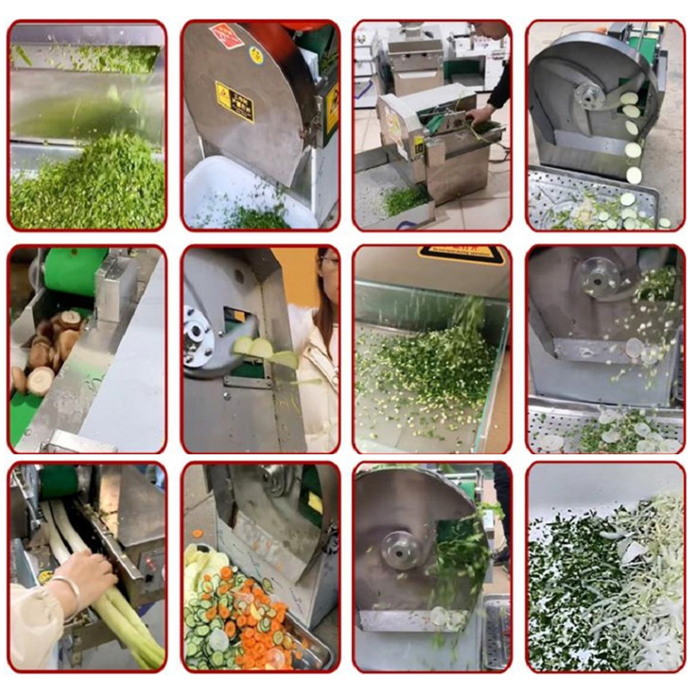 Máy thái hành lá sả YDQC-20  NEWSUN đa năng