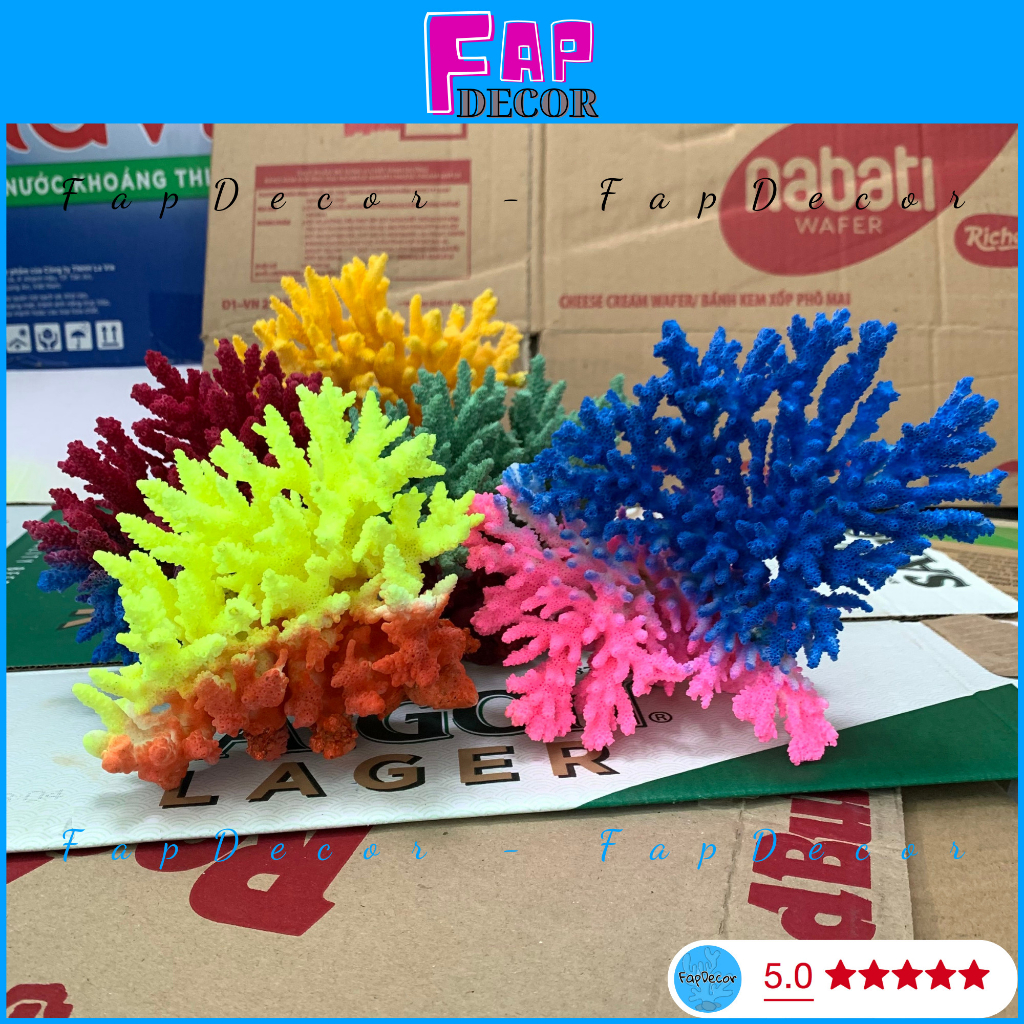 SAN HÔ BÔNG RẠN PHONG THỦY  BIỂN THIÊN NHIÊN PHỐI NHIỀU MÀU TRANG TRÍ THỦY SINH SET UP BỂ CÁ -  FAPDECOR