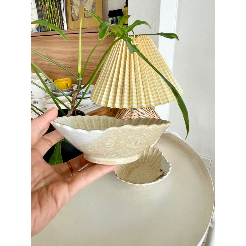 Cưng Ha Home -  - Chén sứ kiểu vỏ sò