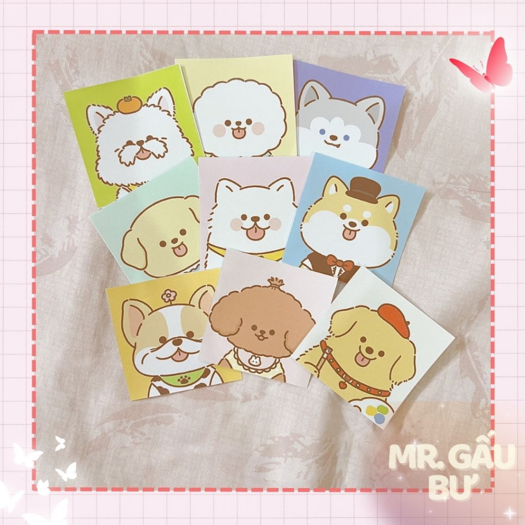 Set 24 sticker  PET