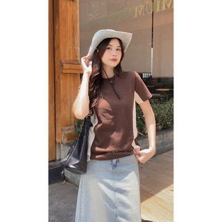 [RÁCH STORE] Áo Thun - Trơn - Raglan