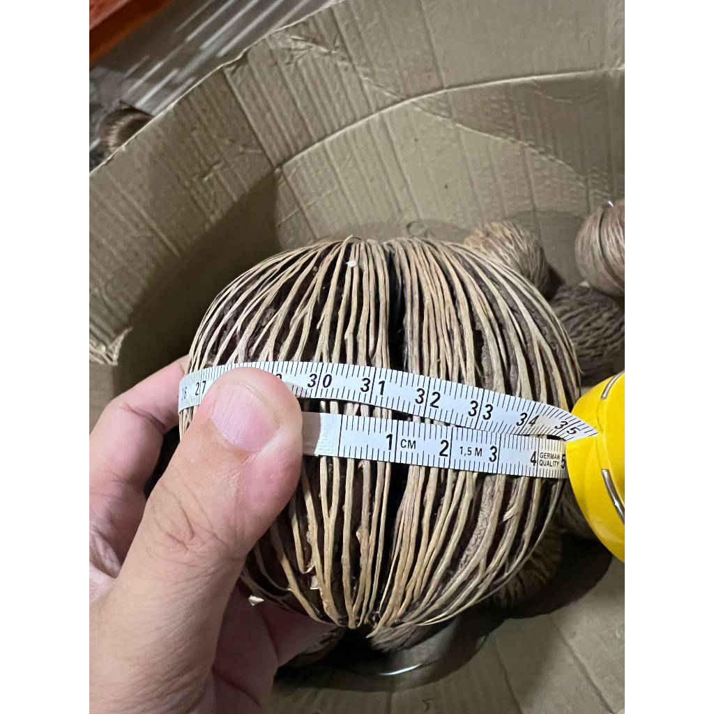 Trái dừa decor thái lan nhập khẩu...