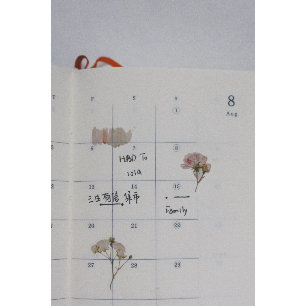 𝓑𝓾𝓵𝓵𝓮𝓽𝓳𝓸𝓾𝓻𝓷𝓪𝓵𝟏𝟏𝟓 ✿ Print on Marky Puppy mẫu "𝐑𝐞𝐭𝐫𝐨 𝐏𝐥𝐚𝐧𝐭"  nhiều hình hoa, khung giấy đẹp lạ trang trí sổ