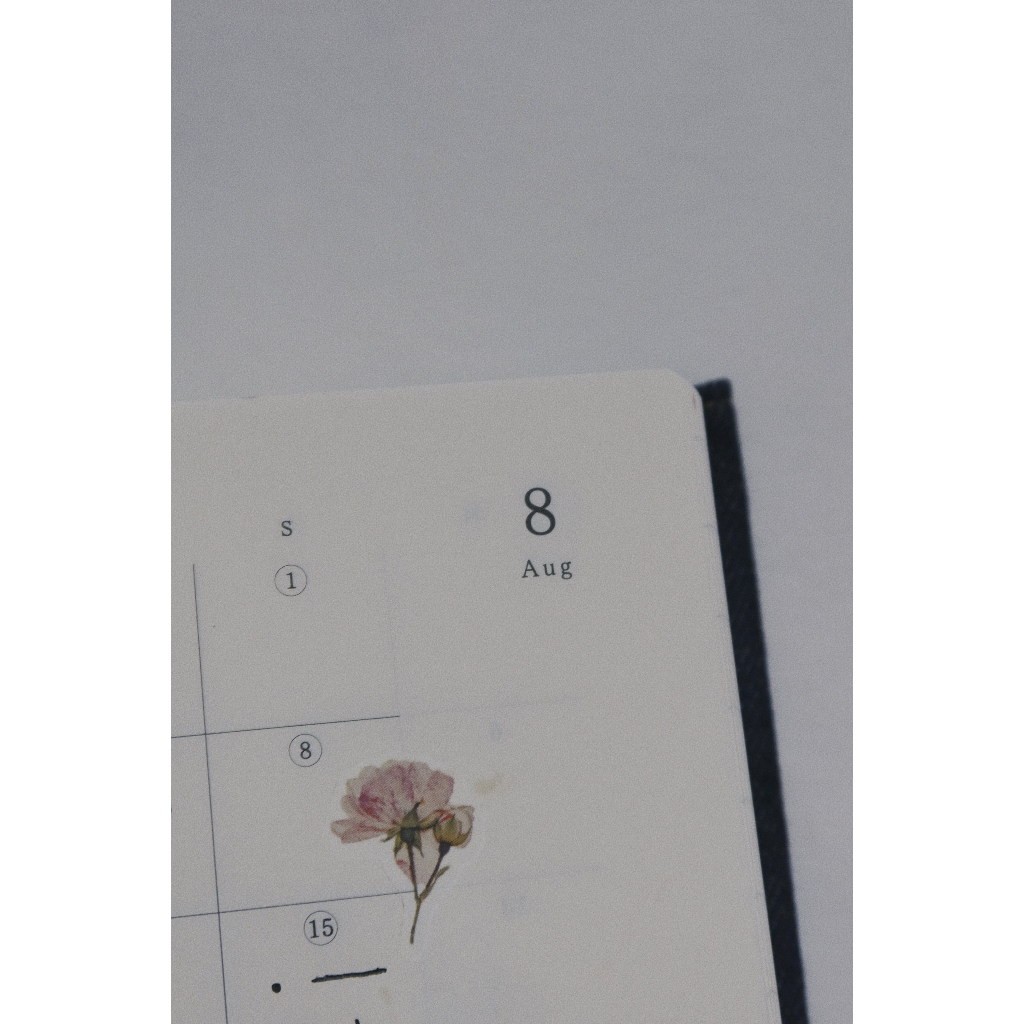 𝓑𝓾𝓵𝓵𝓮𝓽𝓳𝓸𝓾𝓻𝓷𝓪𝓵𝟏𝟏𝟓 ✿ Print on Marky Puppy mẫu "𝐑𝐞𝐭𝐫𝐨 𝐏𝐥𝐚𝐧𝐭"  nhiều hình hoa, khung giấy đẹp lạ trang trí sổ