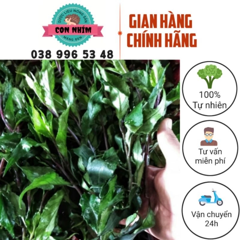 Rau rừng xào tỏi ăn bánh xèo nấu lẩu