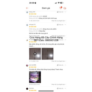 Bột Tơ Nhện Câu Cá