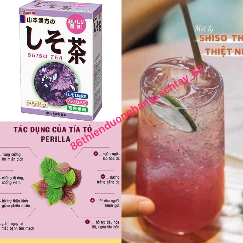 TRÀ TÍA TÔ SHISO hỗ trợ gout , giải cảm tăng đề kháng hộp 22 gói