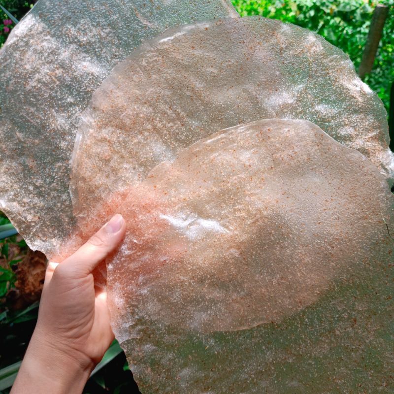 20 BÁNH TRÁNG GẠO GIÒN _GẠO LỨC GIÒN PHÙ MỸ-BÌNH ĐỊNH