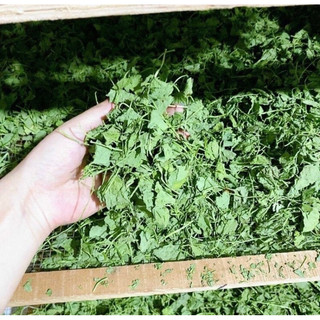 BỘT RAU MÁ 100gr nguyên chất
