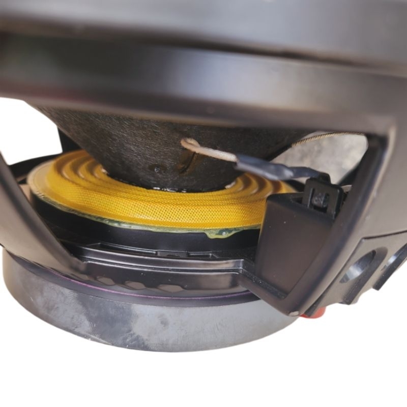 Bass 30 RCF Coil 65 Từ 170 Nhập