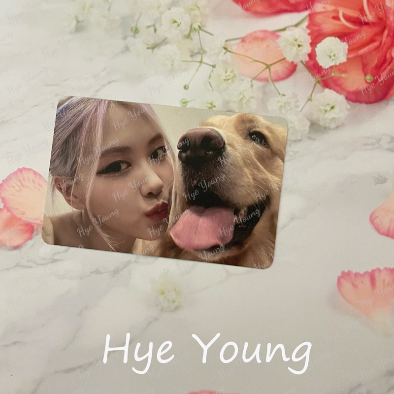 [CHÍNH HÃNG] CARD BO GÓC OFFICIAL BLACKPINK ROSE