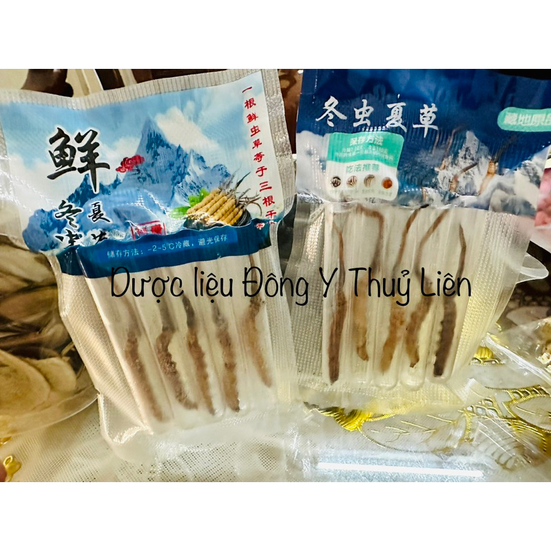 ĐÔNG TRÙNG HẠ THẢO TÂY TẠNG NGUYÊN CON (hàng chuẩn y hình)