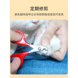 Kìm cắt móng size nhỏ cho chó mèo