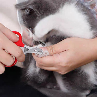 Kìm cắt móng size nhỏ cho chó mèo