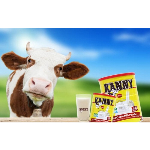 Sữa bột nguyên kem Kanny 28% chất béo loại 900g
