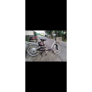 xe đạp điện