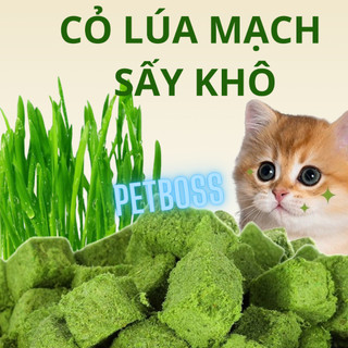 Cỏ lúa mạch sấy khô cho mèo gói 20gr, hỗ trợ tiêu búi lông mèo và tiêu hóa