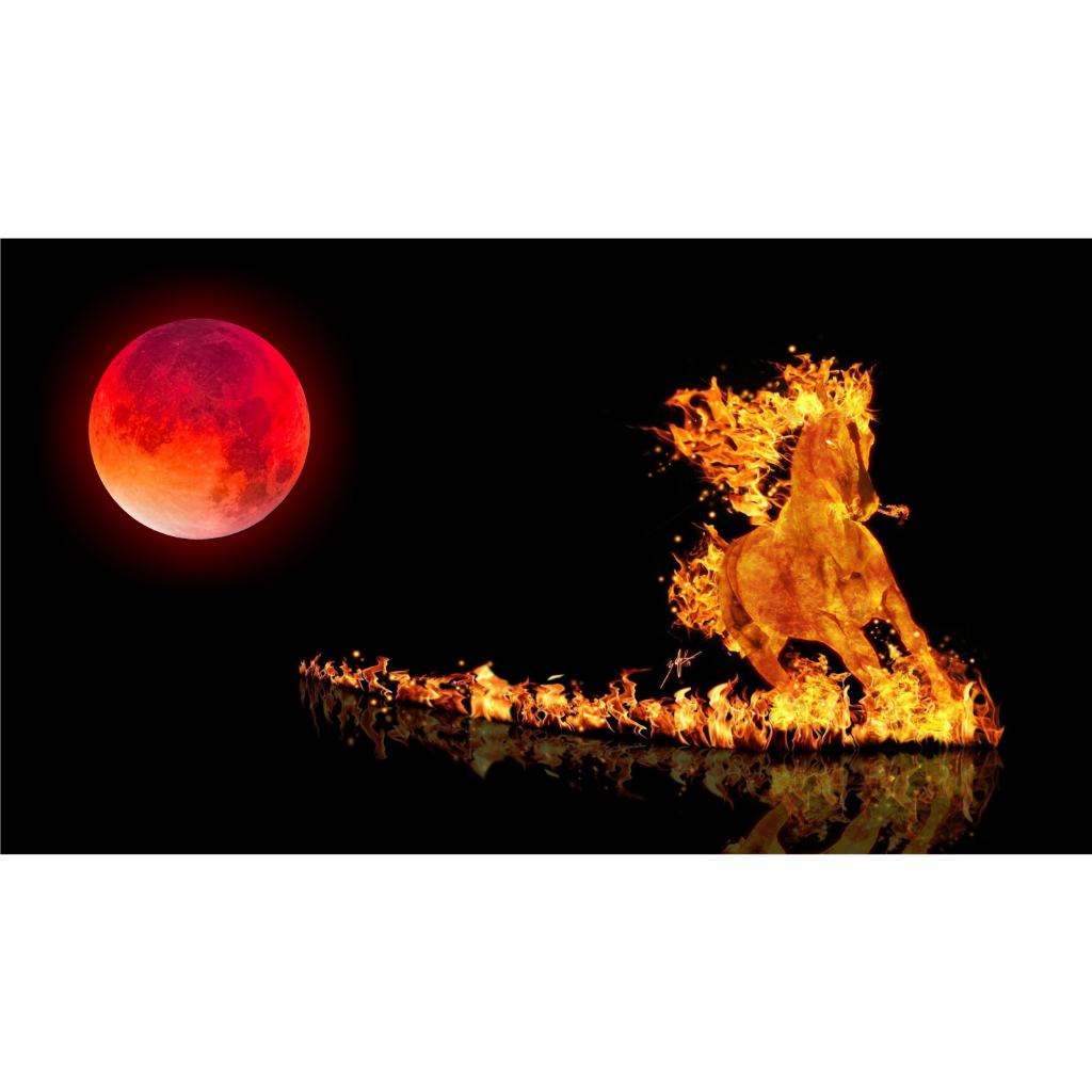 Tranh Dán Hồ Cá Hồ Thủy Sinh - Có Sẵn Keo - Hình Ngựa Nước Và Lửa Nhiều Kích Thước Decalshop.saigon