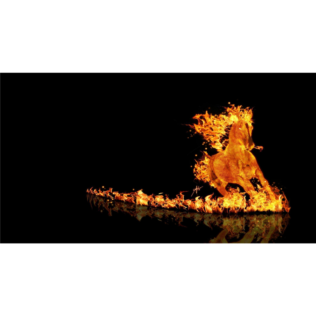 Tranh Dán Hồ Cá Hồ Thủy Sinh - Có Sẵn Keo - Hình Ngựa Nước Và Lửa Nhiều Kích Thước Decalshop.saigon