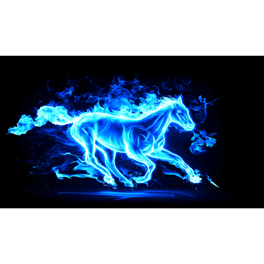 Tranh Dán Hồ Cá Hồ Thủy Sinh - Có Sẵn Keo - Hình Ngựa Nước Và Lửa Nhiều Kích Thước Decalshop.saigon