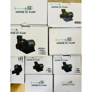 Máy bơm dc 24v marine 1000, 1500, 2500, 4000, 6000