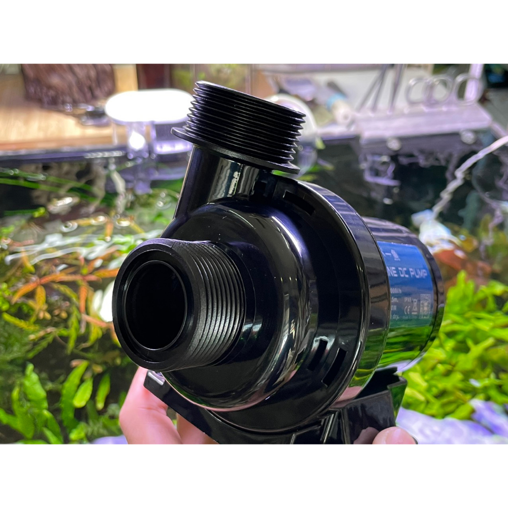 MÁY BƠM DC 24V MARINE 1000, 1500, 2500, 4000, 6000