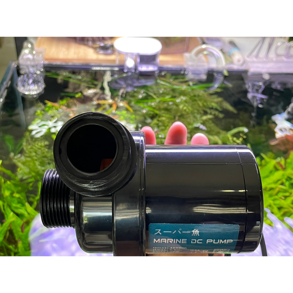 MÁY BƠM DC 24V MARINE 1000, 1500, 2500, 4000, 6000