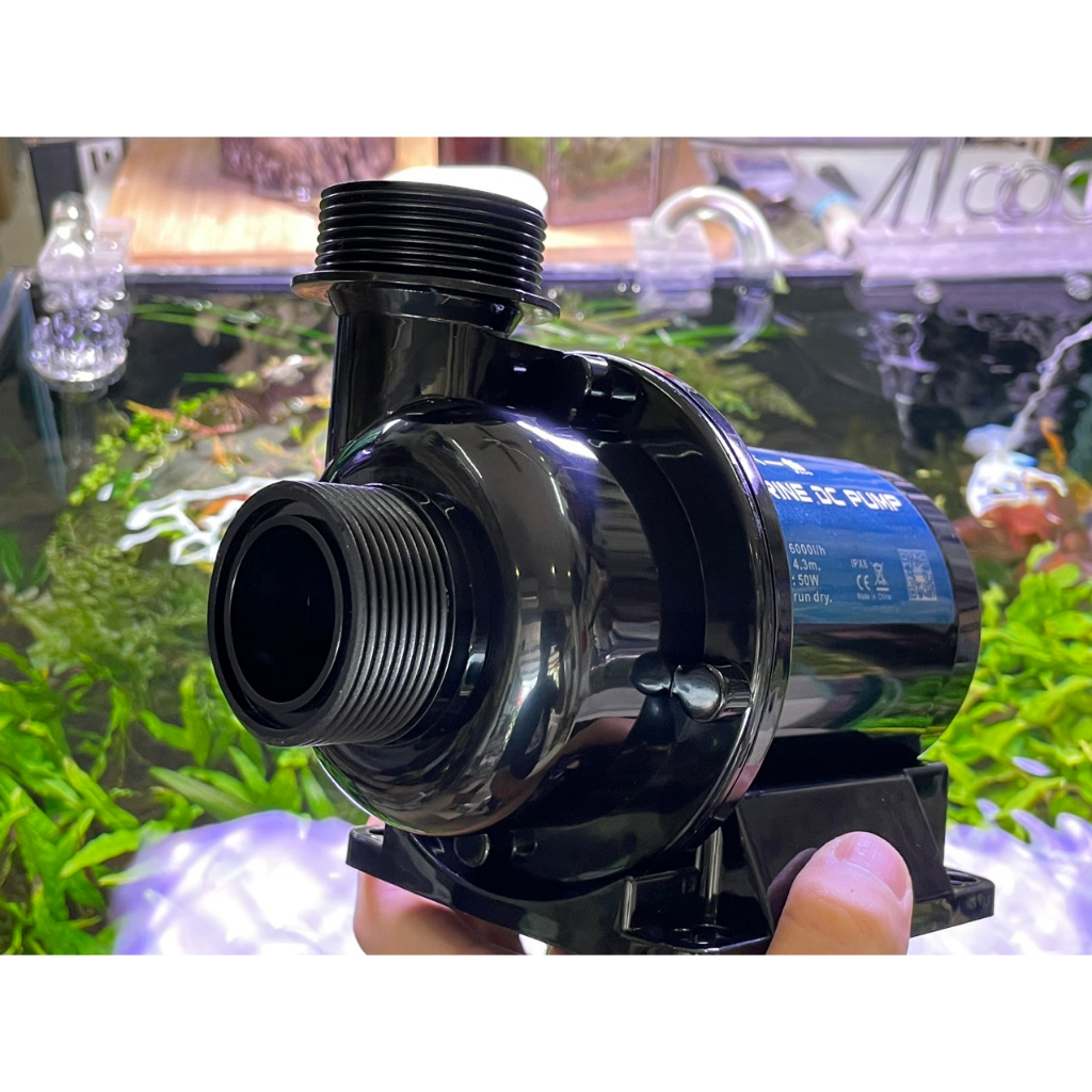 MÁY BƠM DC 24V MARINE 1000, 1500, 2500, 4000, 6000