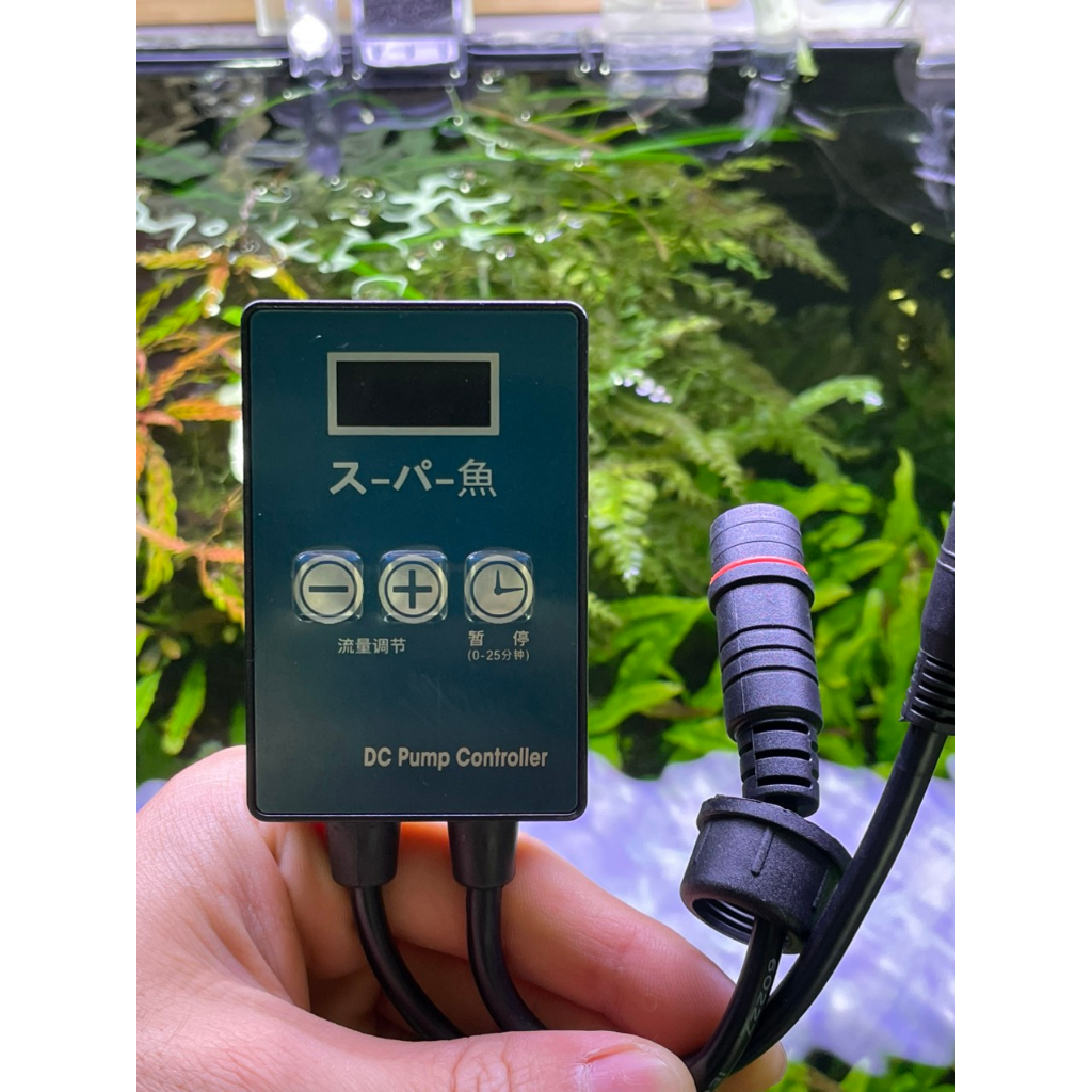 MÁY BƠM DC 24V MARINE 1000, 1500, 2500, 4000, 6000