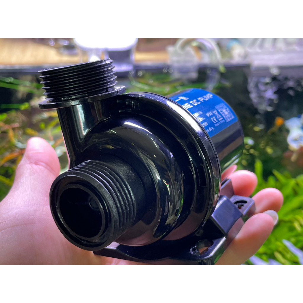 MÁY BƠM DC 24V MARINE 1000, 1500, 2500, 4000, 6000