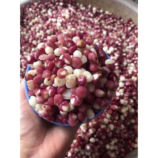 Ngô nếp tím thuần chủng loại 1 của Điện Biên - 100g