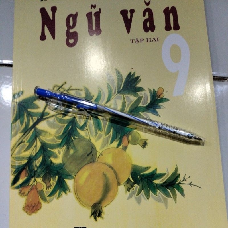 Ngữ Văn lớp 9 tập 2+ bút