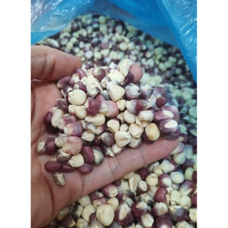 Ngô nếp tím điện biên - 1kg