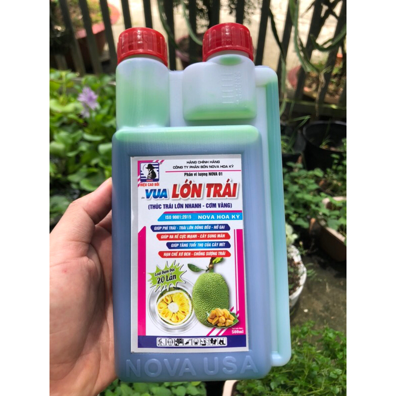 Phân bón lá Lớn trái mít [thúc trái lớn nhanh, cơm vàng]