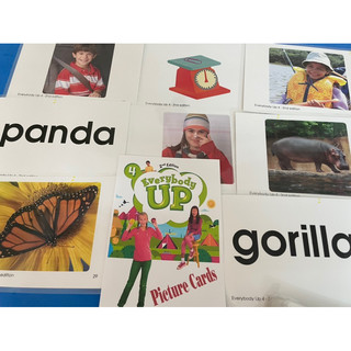 Flashcards - EVERYBODY UP STARTER-1-2-3-4.