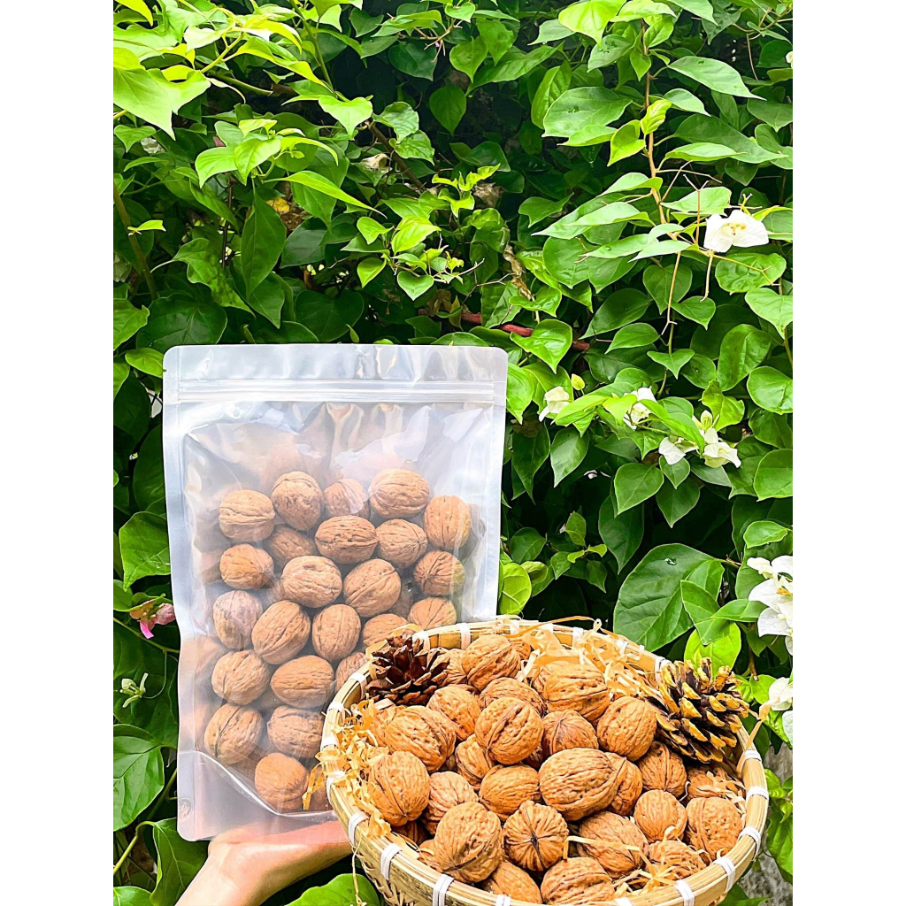 QUẢ ÓC CHÓ VÀNG CHUẨN MỸ GÓI 500GRAM