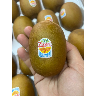 Kiwi Vàng New Zealand