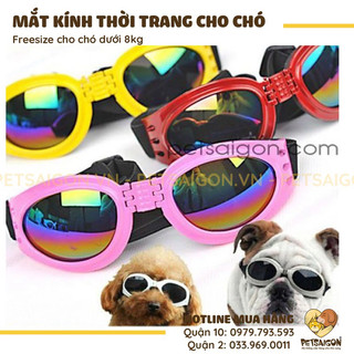 Mắt kính cho chó mèo