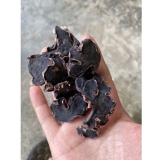 Gừng đen - ngải đen khô dược liệu quý tây bắc 1kg