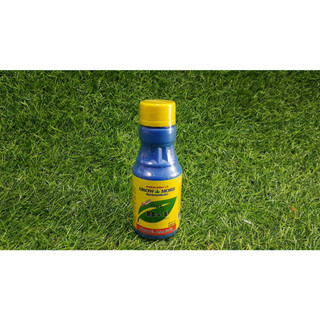 Vitamin B1 grow more phân bón lá cho cây trồng và hoa lan v.v.. Chai 100ml