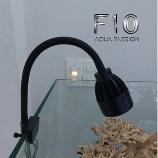 Đèn rọi hồ cá 3 chế độ sáng chỉnh tiêu cự chuyên hồ cá bể Biotop hàng cao cấp