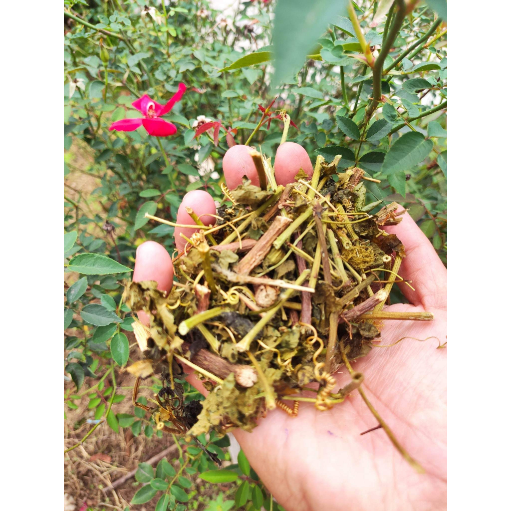 Trà lạc tiên  sấy khô, giúp an thần, ngủ ngon, mát gan