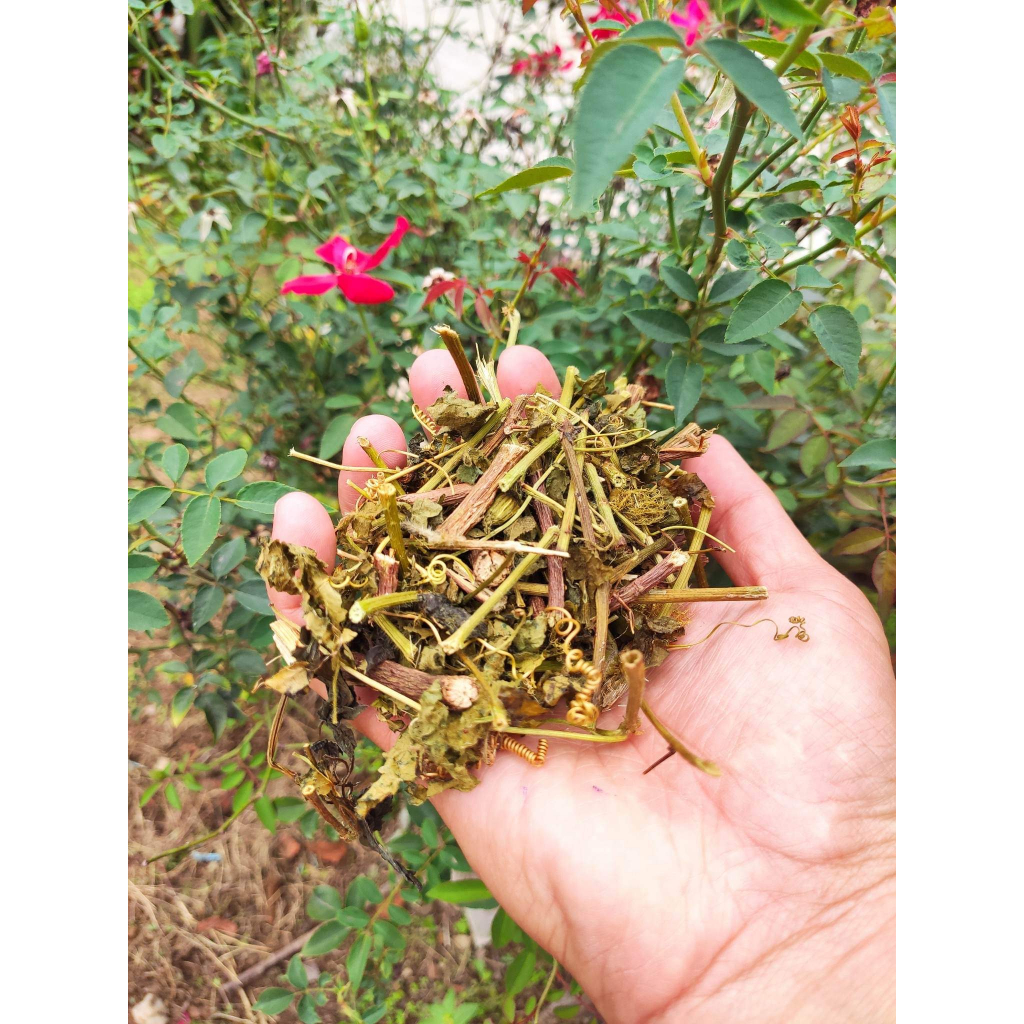 Trà lạc tiên  sấy khô, giúp an thần, ngủ ngon, mát gan