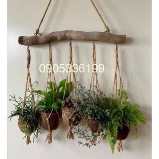 Dây treo chậu mini dài 30-40cm